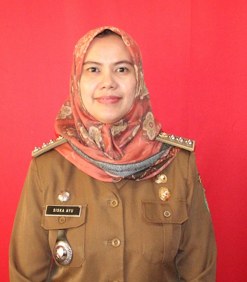 ANDREW FRANSISKA AYU, S.STP.M.SI