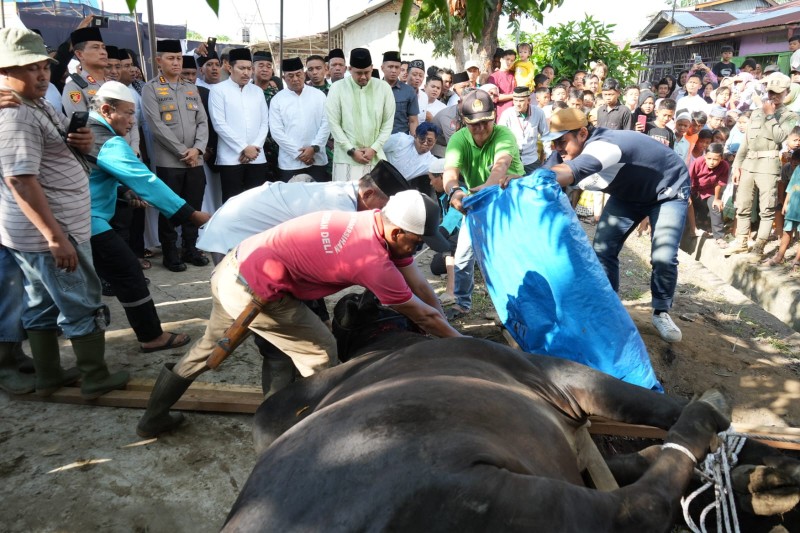 Wali Kota Medan Bobby Nasution Beserta Keluarga Menyumbang Dua Ekor Hewan Qurban di Lapangan Bola Mabar, Kec. Medan Deli, Kamis (29/6)