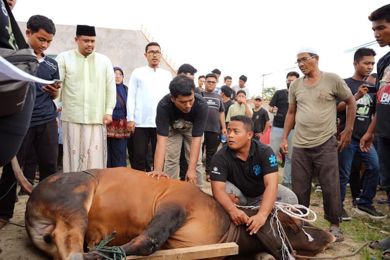 Wali Kota Medan Bobby Nasution dan Keluarga Berkurban Dua Ekor Sapi di Rumah Kolaborasi di Jalan H. Jamil Lubis, Kecamatan Medan Tembung, Kamis (29/6)