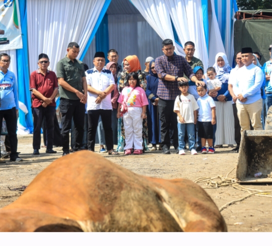 Kurban 92 Sapi di Iduladha 1445 H, Bobby Nasution Apresiasi Dinas Pendidikan dan Kebudayaan Kota Medan