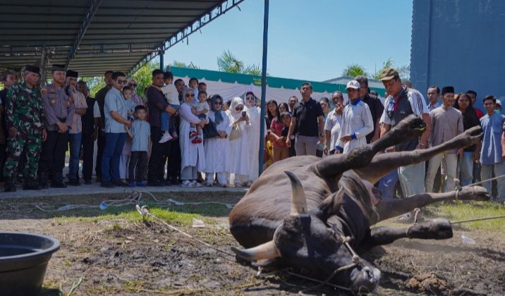 Bobby Nasution dan Keluarga Kurban 3 Sapi di Masjid Jami’ Hanifah