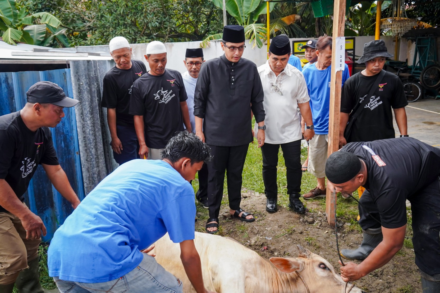 Wali Kota Medan, Rico Tri Putra Bayu Waas Menyaksikan Langsung Pemotongan Hewan Kurban di Masjid Al Muttaqin, Jalan Hanura, Kecamatan Medan Sunggal, Sabtu (7/6/2025)