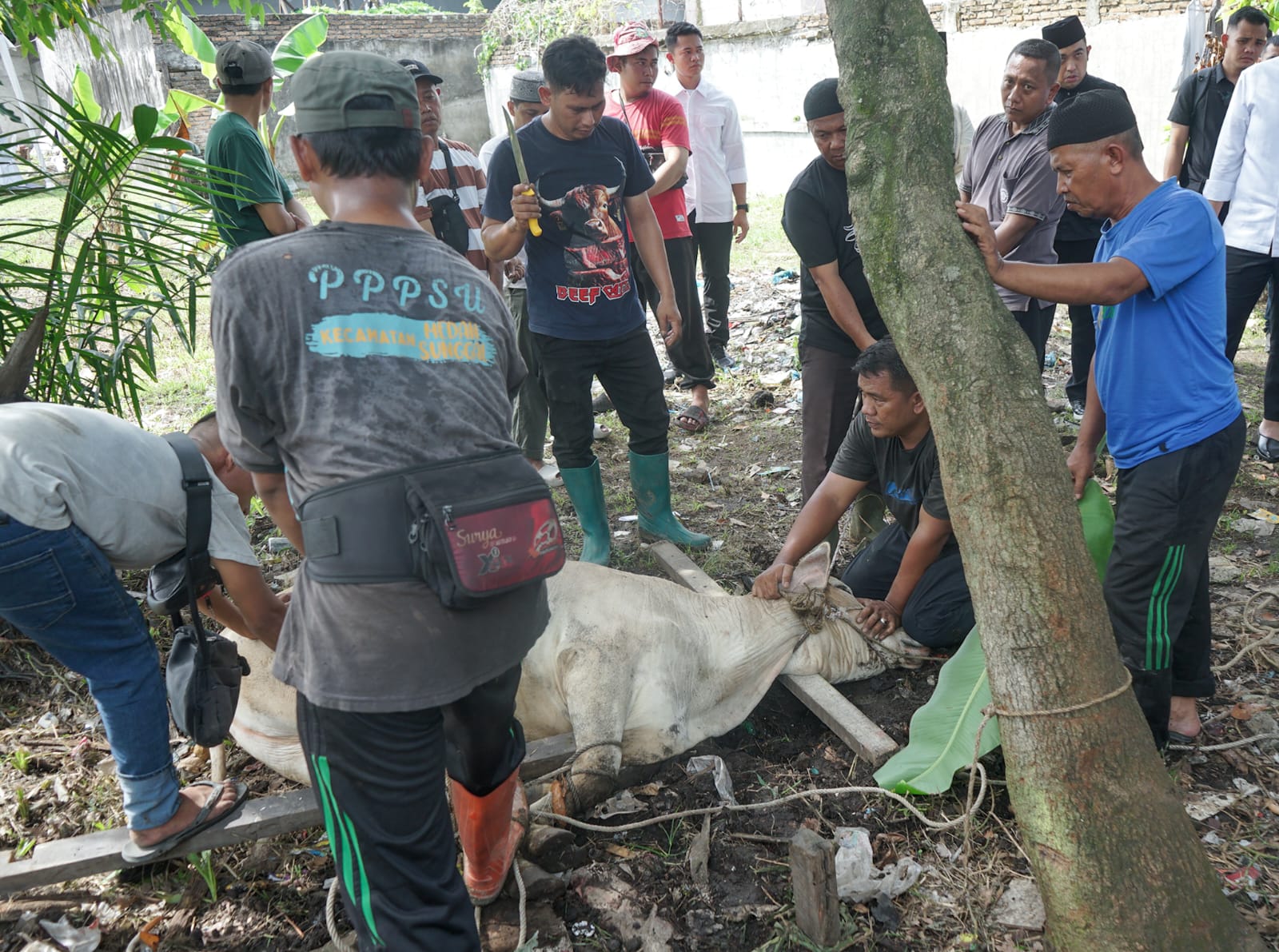 Wali Kota Medan Tegaskan Esensi Kurban: Kebahagiaan Itu Bukan untuk Dinikmati Sendiri
