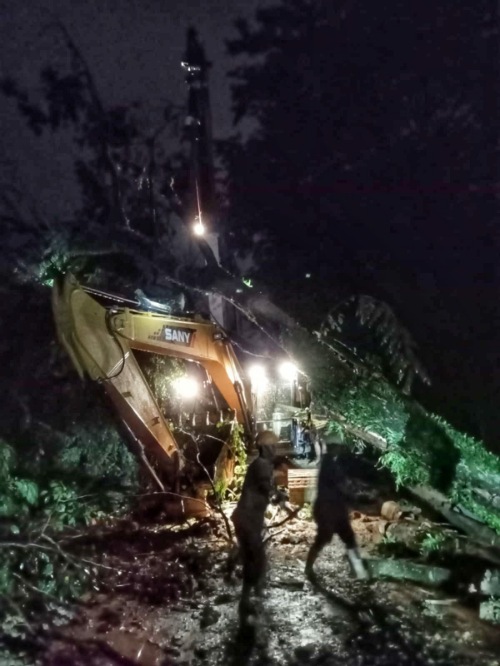 Dinas Kebersihan dan Pertamanan Kota Medan Turunkan Tim Penebang Pohon Atasi Pohon Tumbang Akibat Hujan Lebat dan Angin Kencang