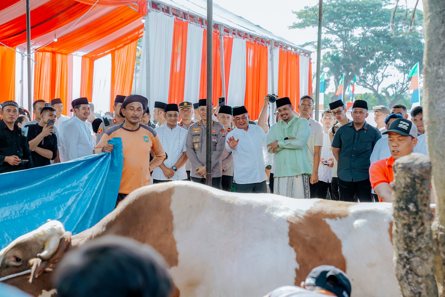 Rayakan Idul Adha 1444 H, Pemko Medan Sembelih 104 Hewan Kurban