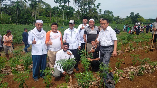 Aksi Tanam Bibit Pohon di Hari Lingkungan Hidup Sedunia, Pemko Medan Berharap Dapat Jadikan Lingkungan Sehat dan Bersih