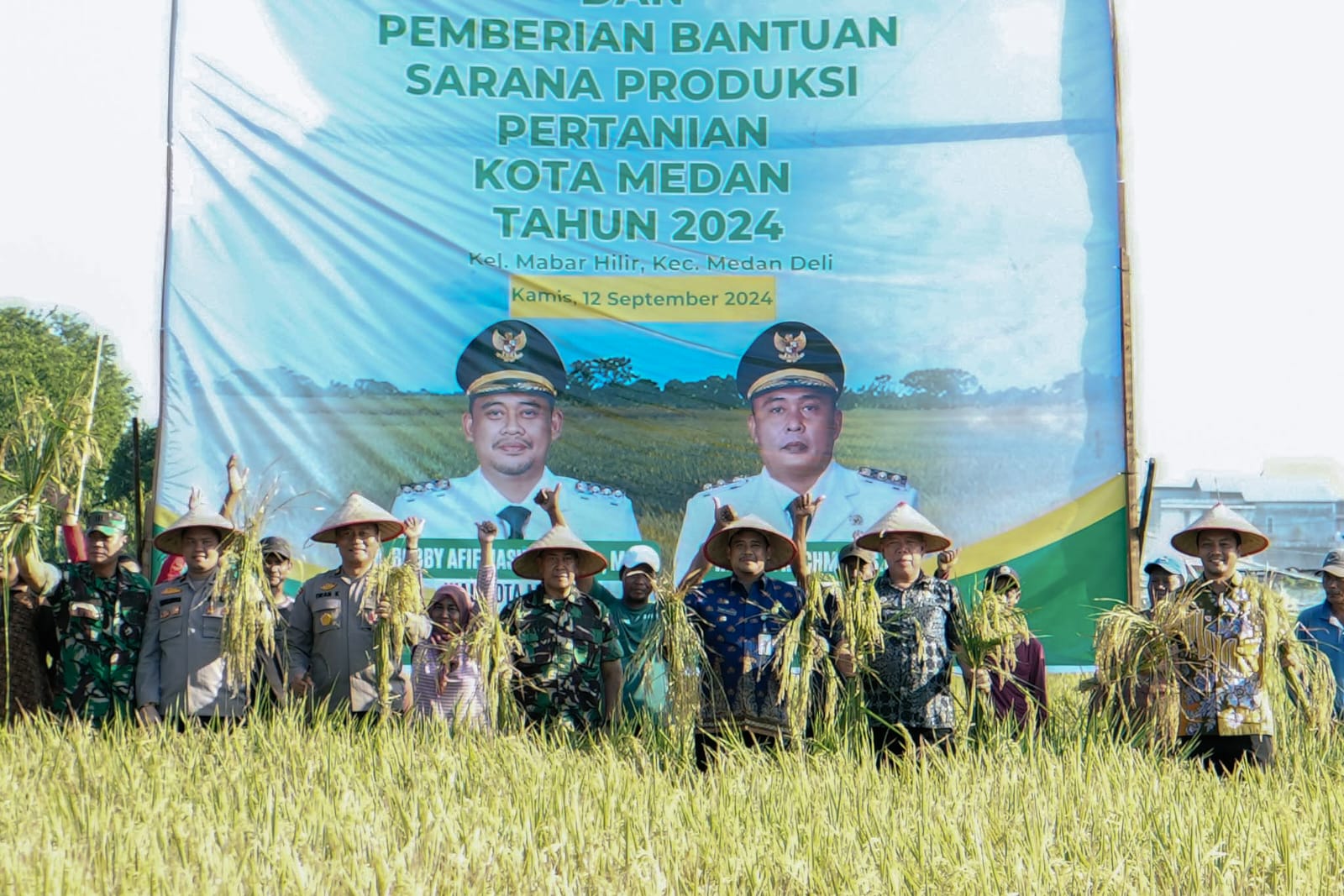 Panen Raya Padi di Persawahan Mabar Hilir, Bobby Nasution Ingin Sektor Pertanian Berkembang