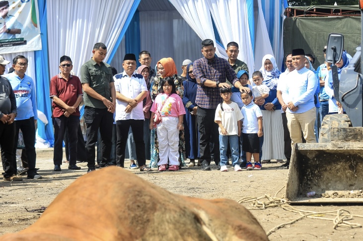 Kurban 92 Sapi di Iduladha 1445 H, Bobby Nasution Apresiasi Dinas Pendidikan dan Kebudayaan Kota Medan