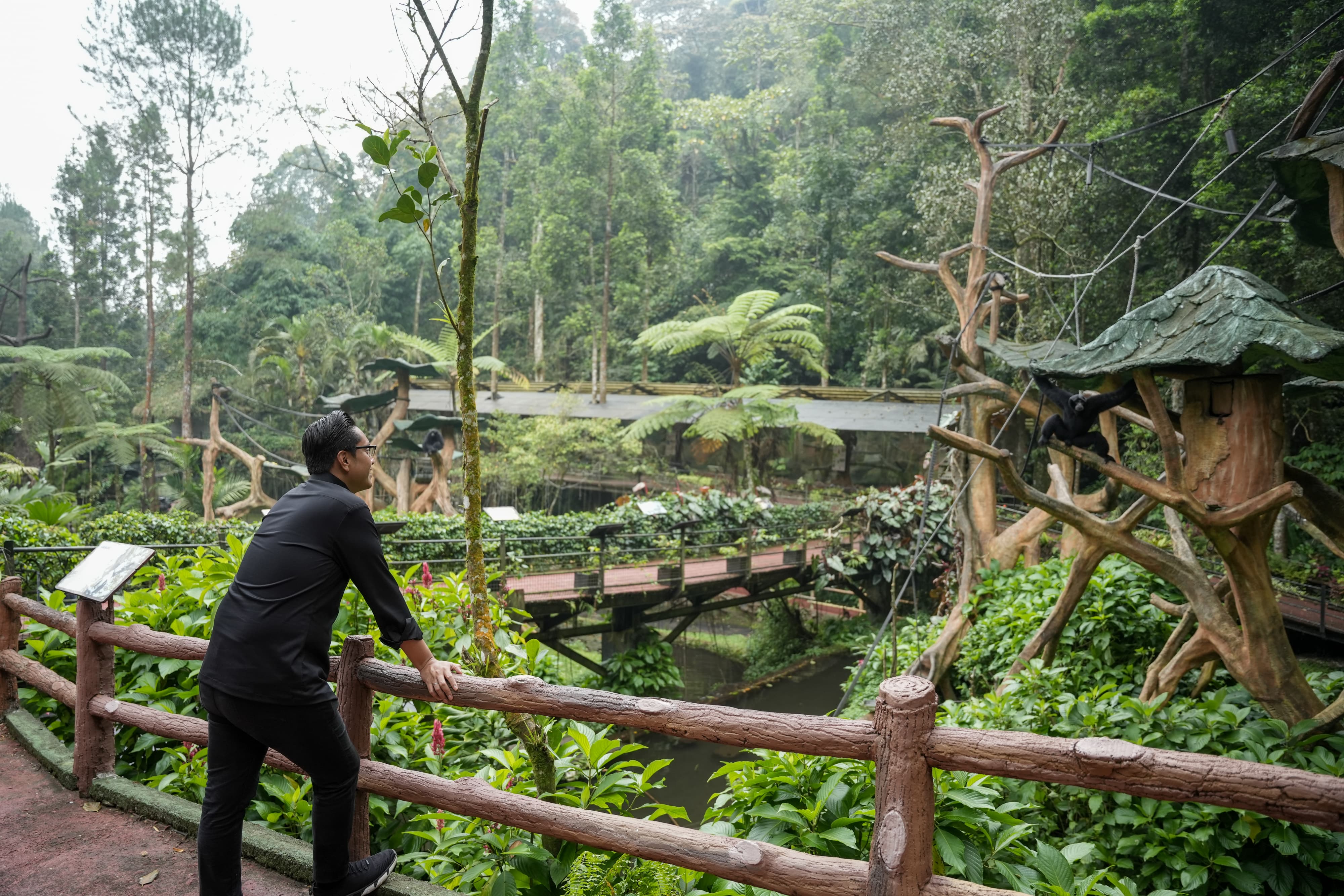 Benahi Medan Zoo, Rico Waas Minta Masukan dan Diskusi dengan Komisaris Taman Safari Indonesia Bogor
